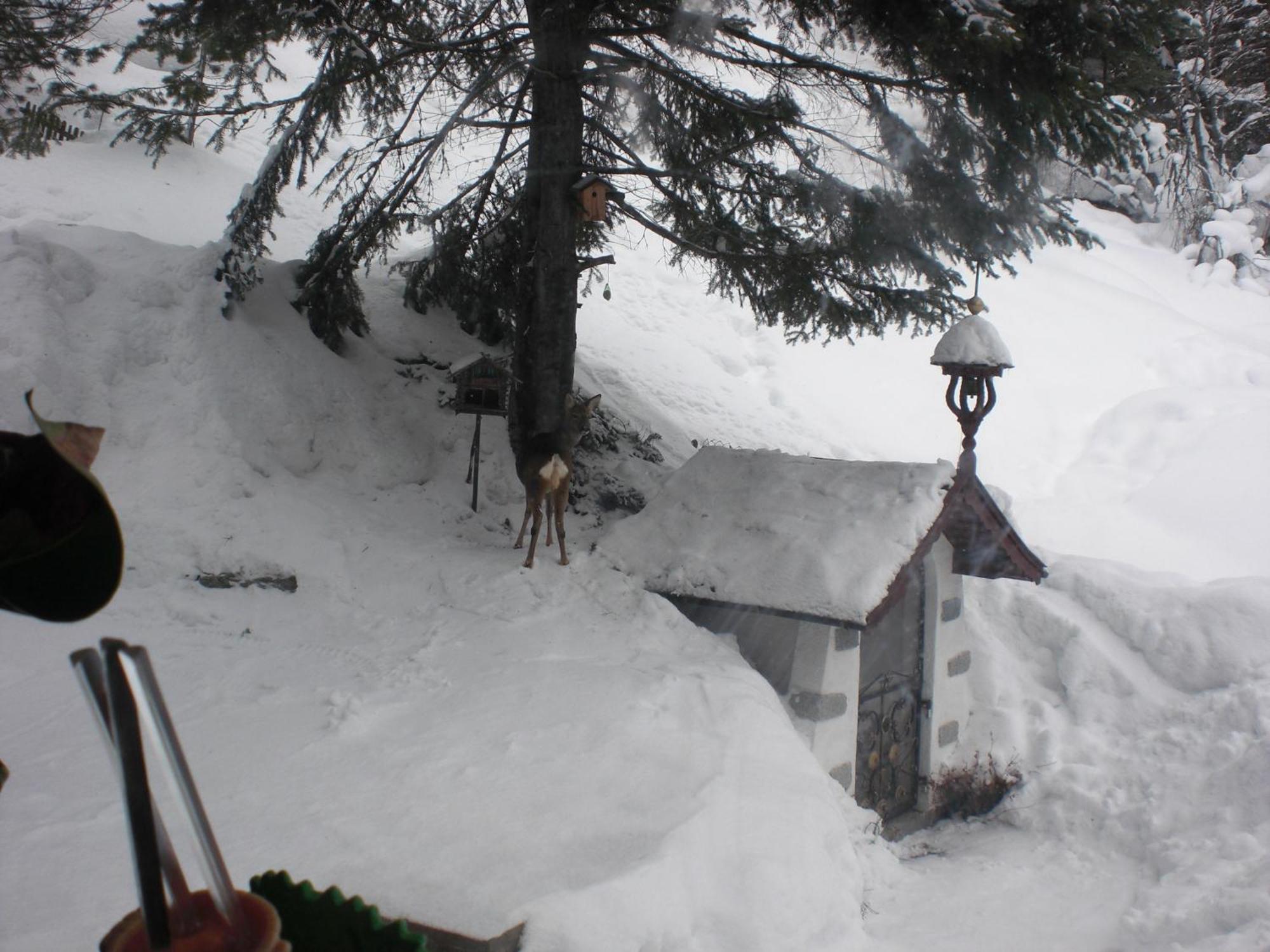Hotel Haus Waldheim Sankt Leonhard im Pitztal Exterior foto